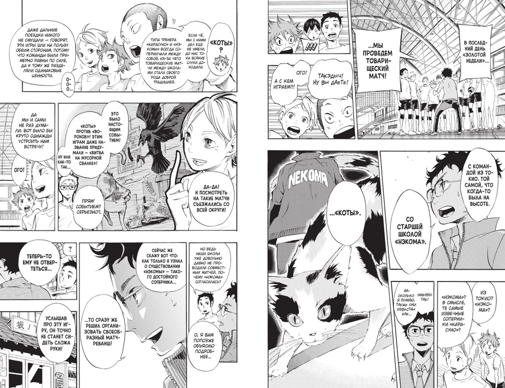 Волейбол! Книга 2. Вперед, команда Карасуно! Соперники