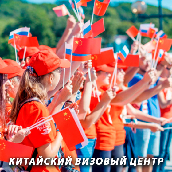 Учебная виза X1