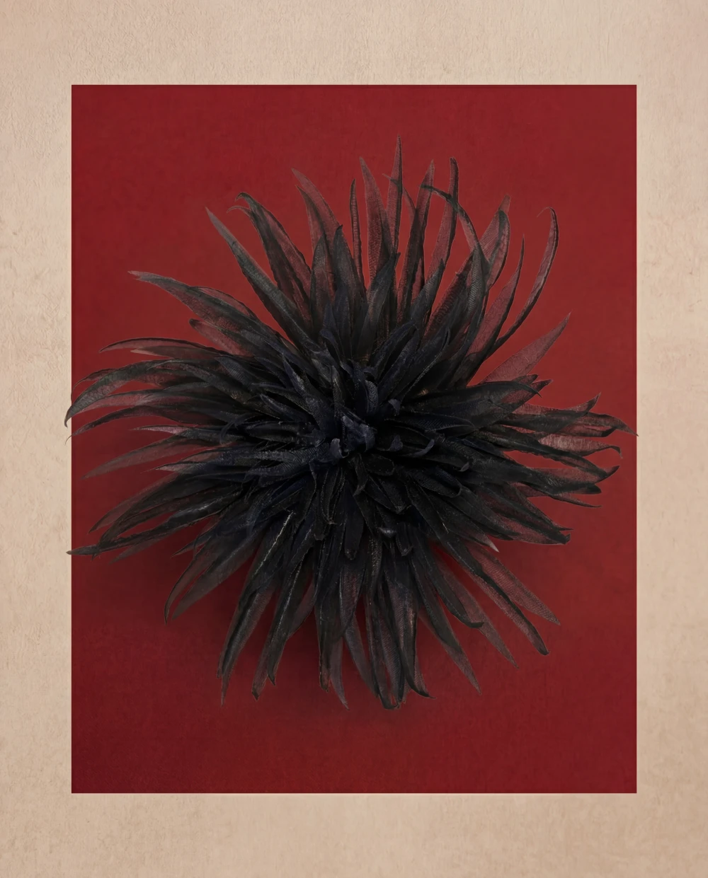 Астра брошь черный