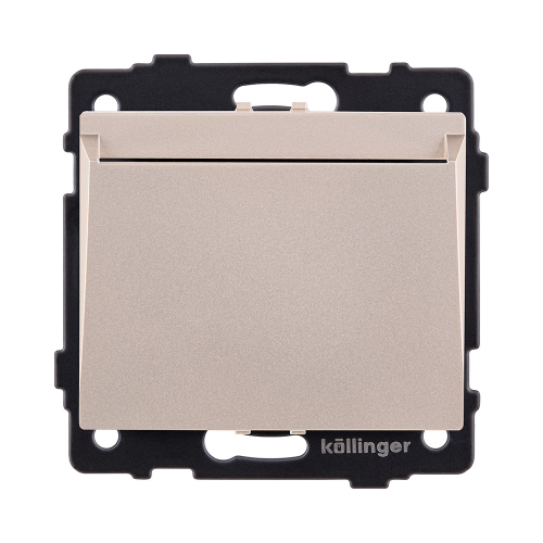 Карточный выключатель механический, золотой Kollinger REA-041GD для Aspekt, Eleganz, Reflex