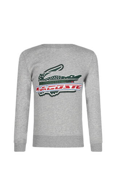 Худые Lacoste - серый(SJ5334)