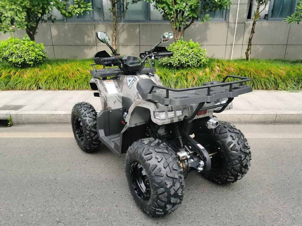 Квадроцикл MOTAX ATV Grizlik T200 LUX