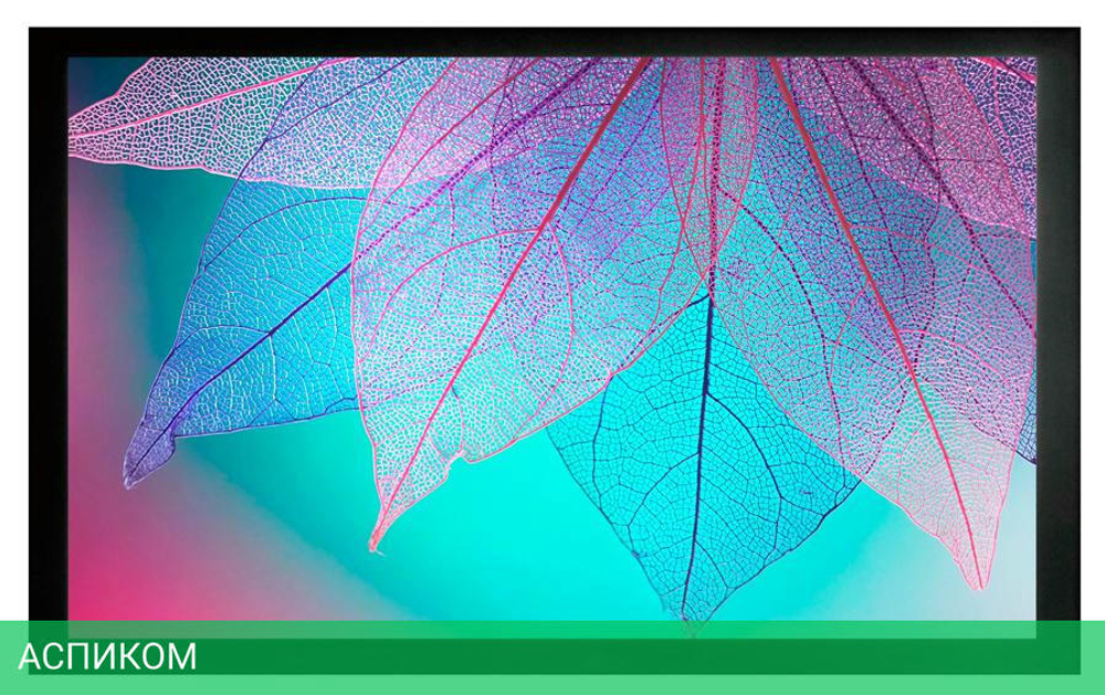 Проекционный экран Cactus Frame Expert (CS-PSFRE-220X124)