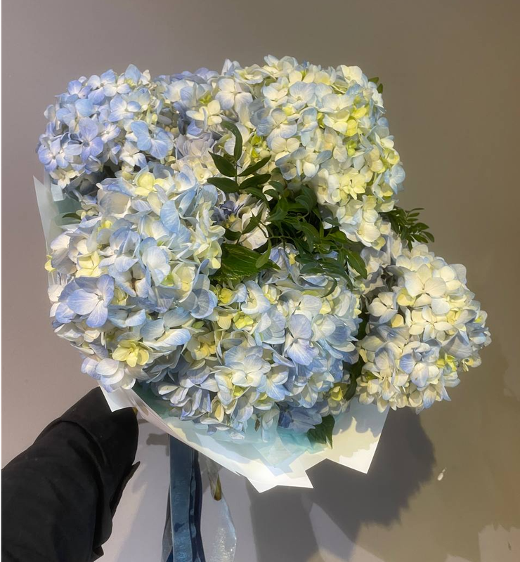 Букет из 9 голубых гортензий