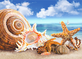 "Морские диковины"-1774 канва с нанесенным фоном