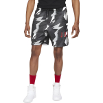 Шорты Jordan Jumpman Air Msh Aop Sho Logo, CZ4757-010