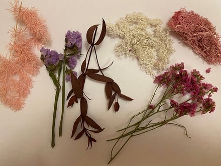 Набор сухоцветов 1