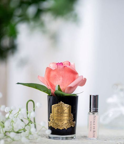 Ароматизированная коралловая роза в черной вазе, Cote Noire
