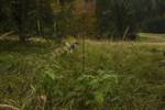 Брюки тактические снайперские UF PRO Silent Warrior, камуфляж GreenZone