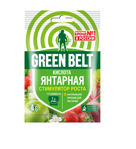 Янтарная кислота GREEN BELT 4 гр  (1/100)