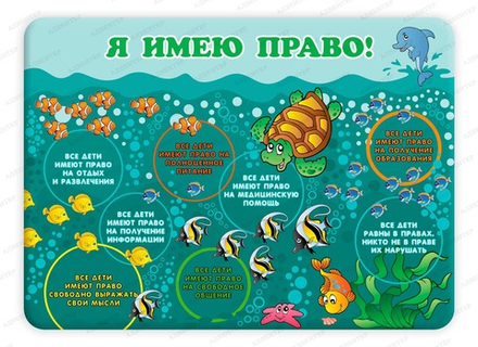 Стенд Я ИМЕЮ ПРАВО 781