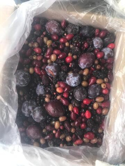 Компотная смесь замороженная из алычи, сливы, винограда и персика / Коробка 10кг