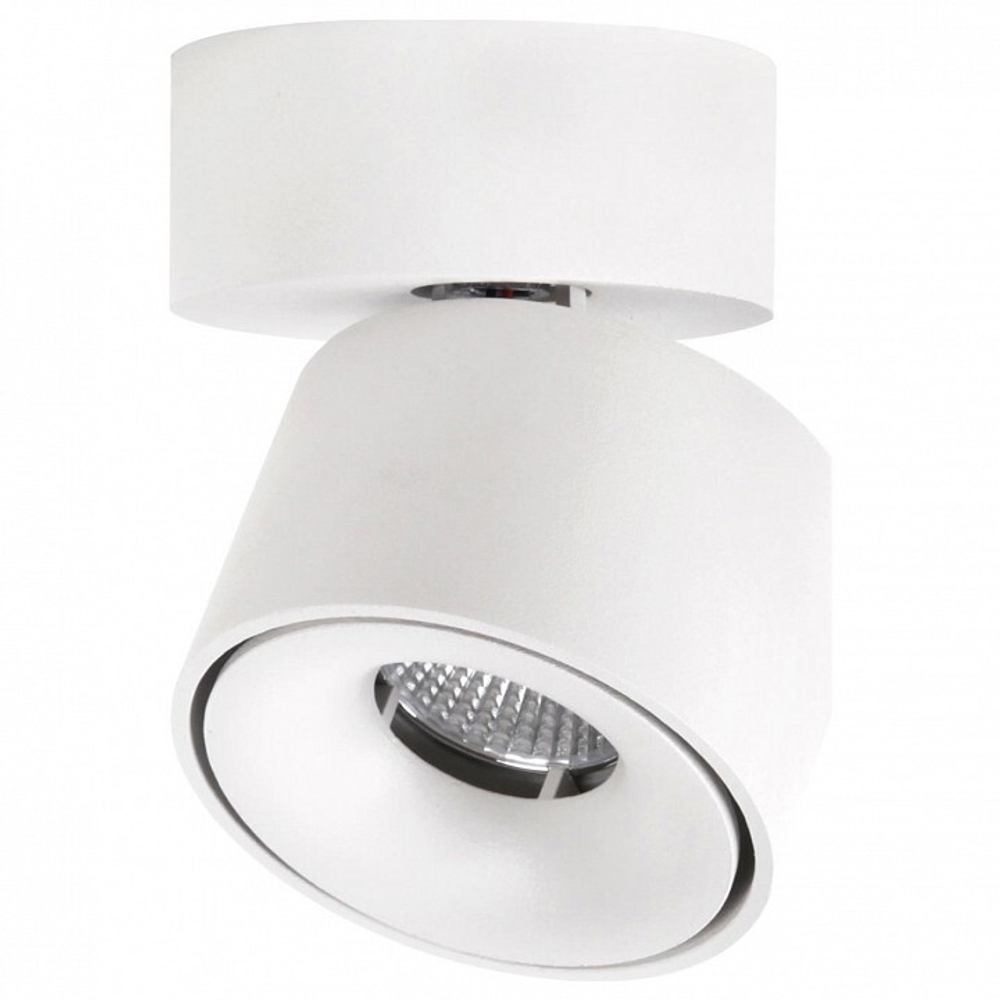 Спот Citilux CL558010N