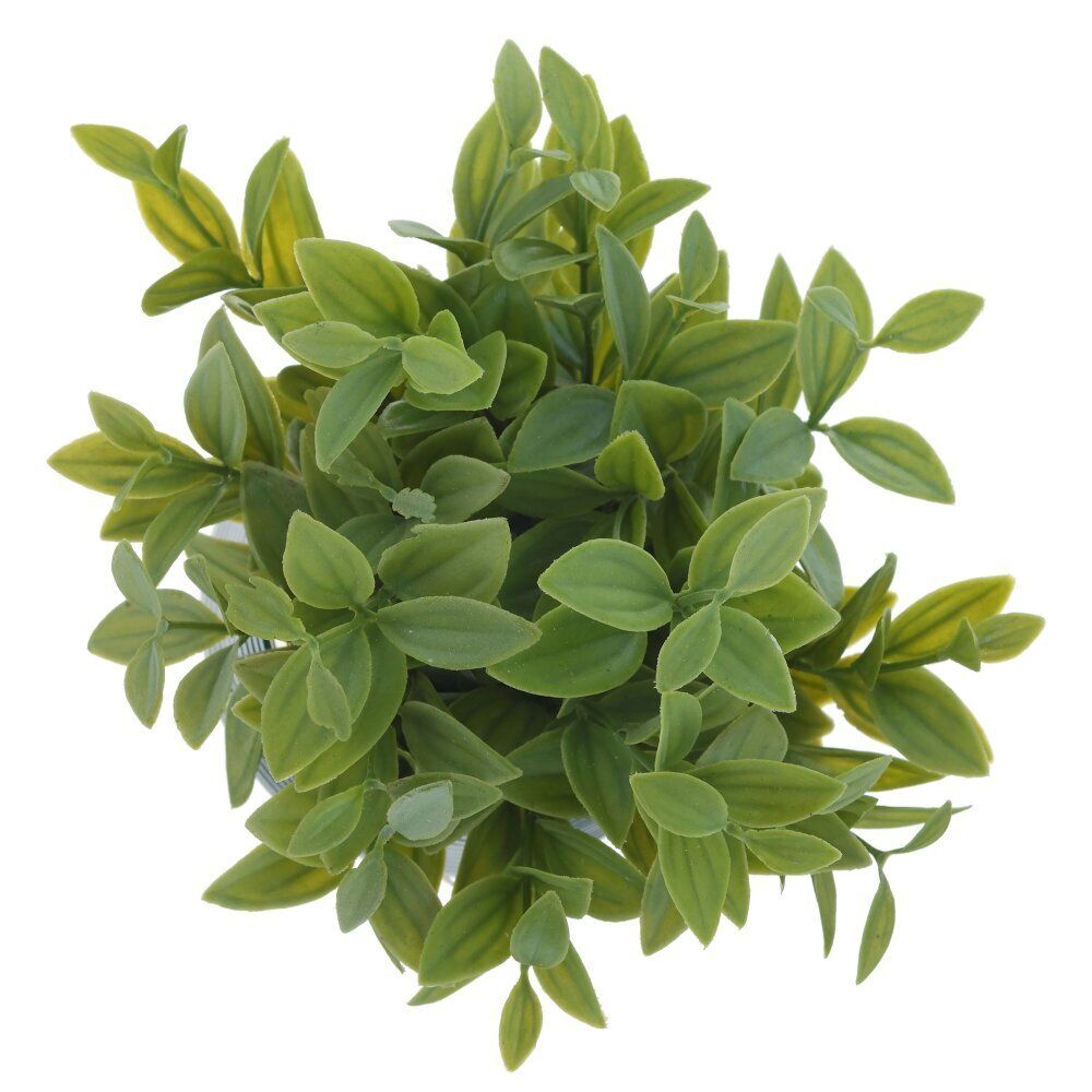 GAEM Цветочная композиция, L12 W12 H20 см