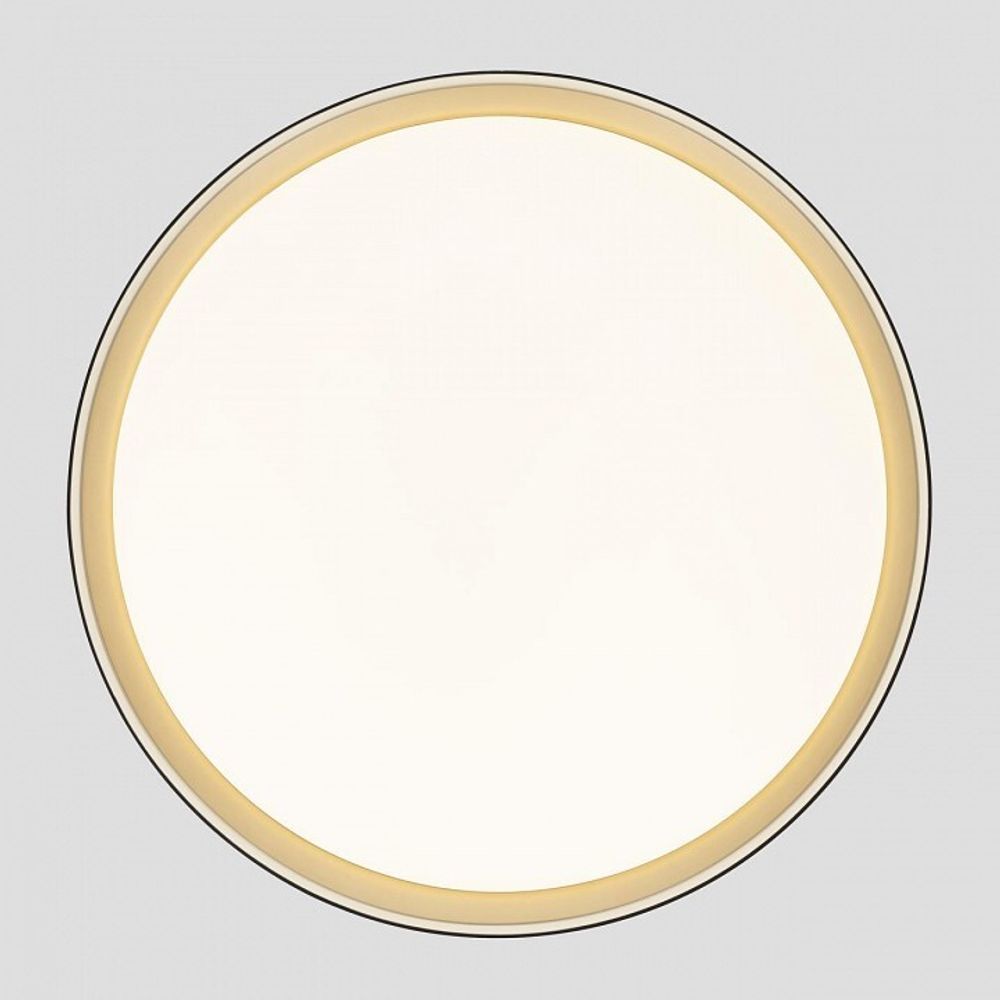 Накладной светильник Citilux BOSS CL751451G