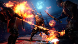 Nioh Collection (диск для PS5, интерфейс и субтитры на русском языке)