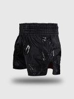 Шорты тайские Venum Inferno 2.0 Black/Grey