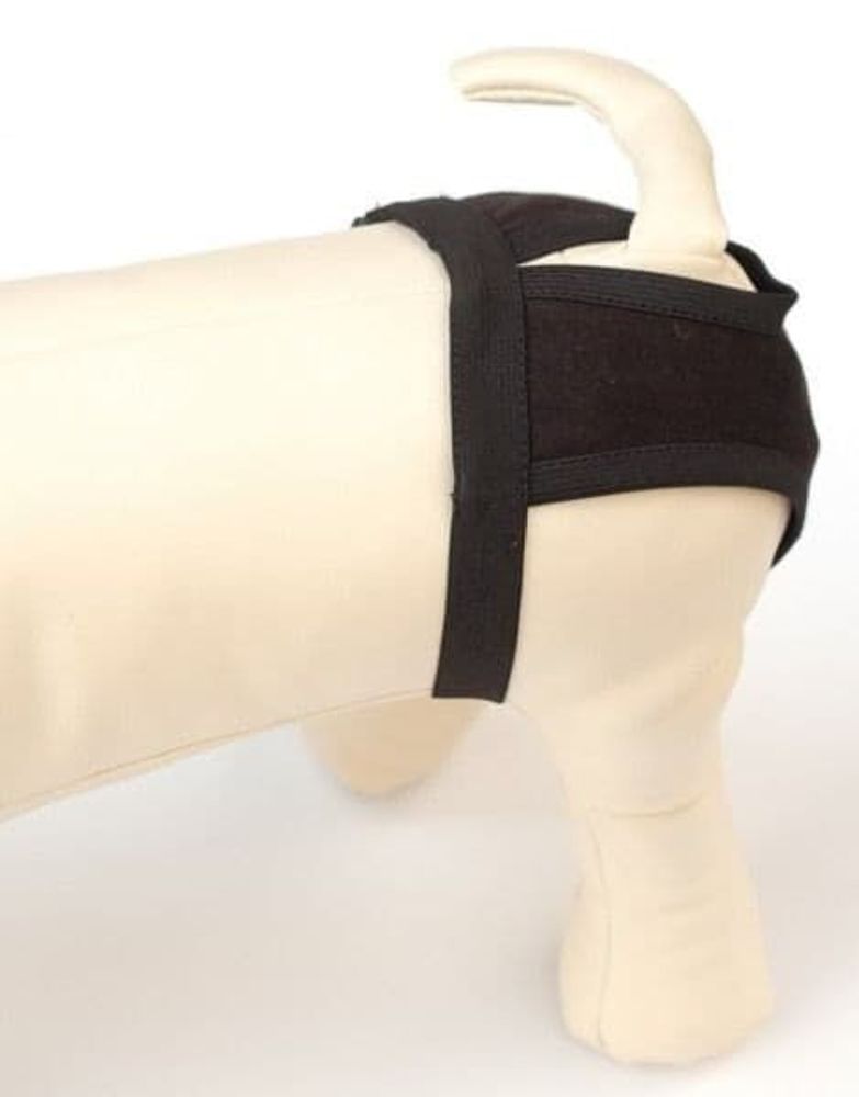 Трусы для собак трикотажные OSSO Comfort р.M