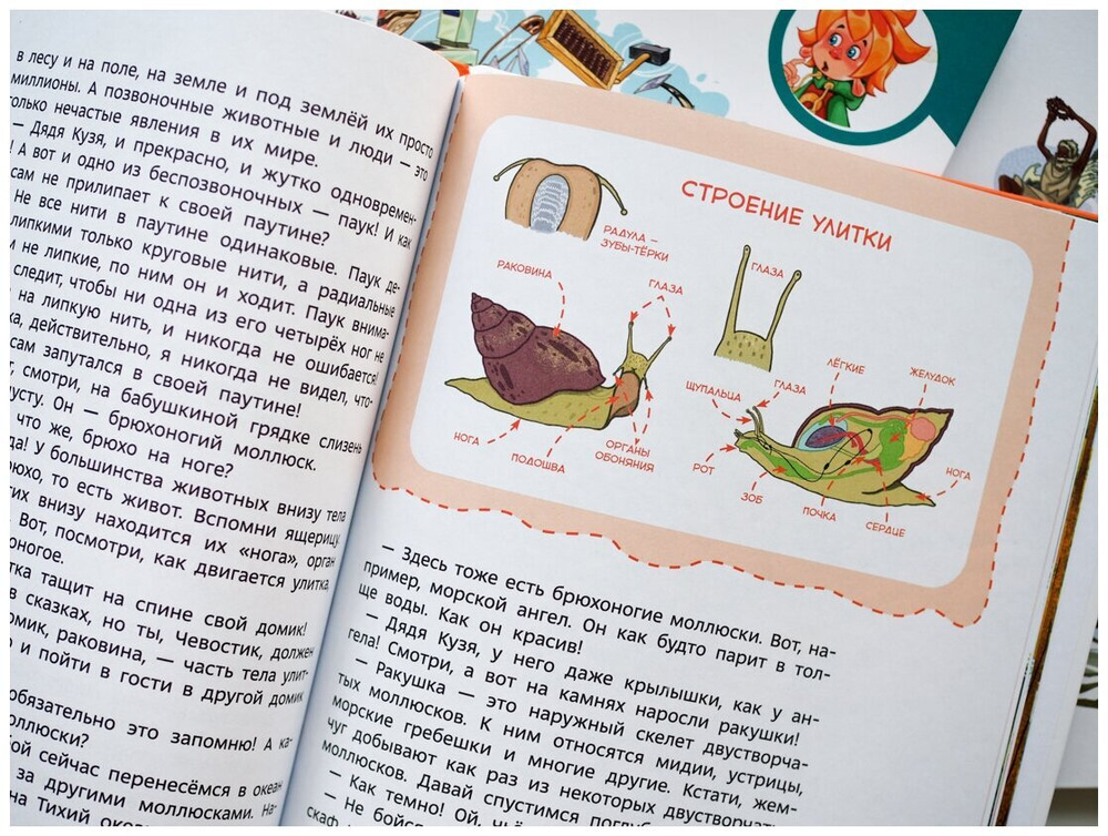 Животные. Детские энциклопедии с Чевостиком