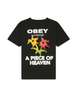 Футболка Кор. Рукав A Piece Of Heaven