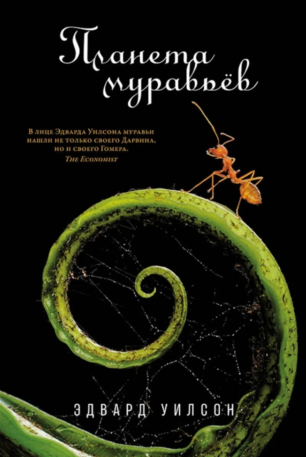 Планета муравьев