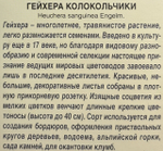 Гейхера Колокольчики СМЦ-815