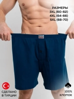 Трусы баталы A1131-5