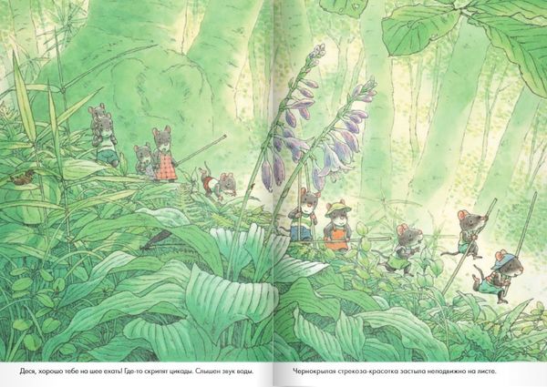 14 лесных мышей. Стрекозиный пруд