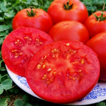 Помидоры Матушка Царица - Mother Queen Tomato