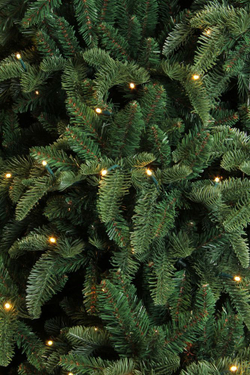 Ель Нормандия Стройная 425см с лампами темно-зеленая Triumph Tree