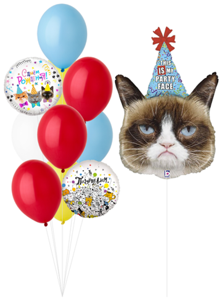 Набор шаров Сердитая кошка в колпаке (мем) | 0138