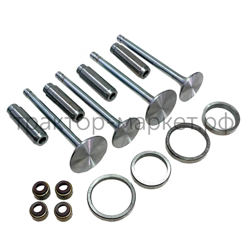 Комплект клапанов (впускной выпускной) для головки блока цилиндров JD2100