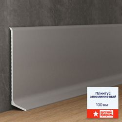 Плинтус алюминиевый Русский Профиль, 2500x12x100 мм