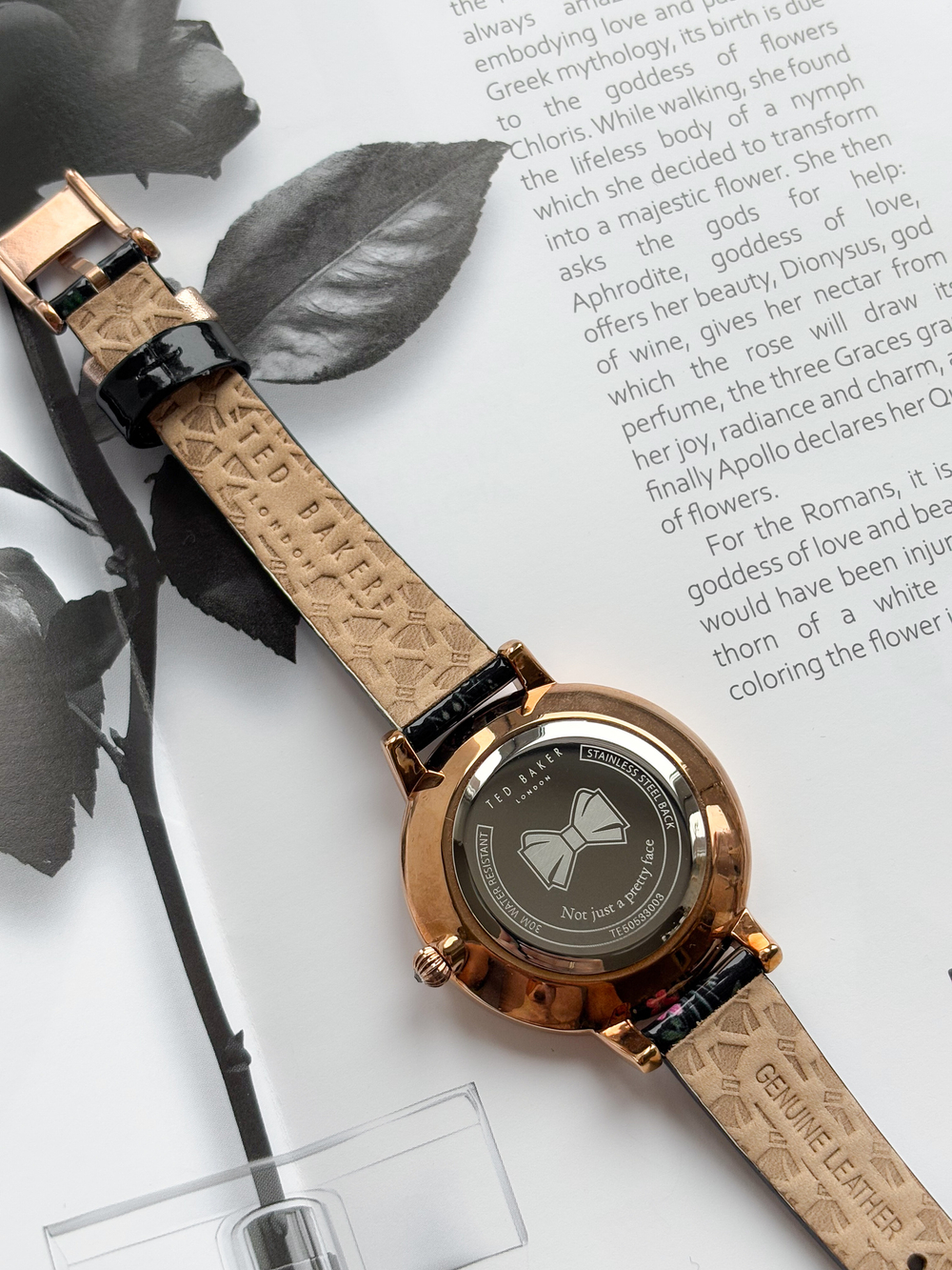 Ted Baker TE50533003