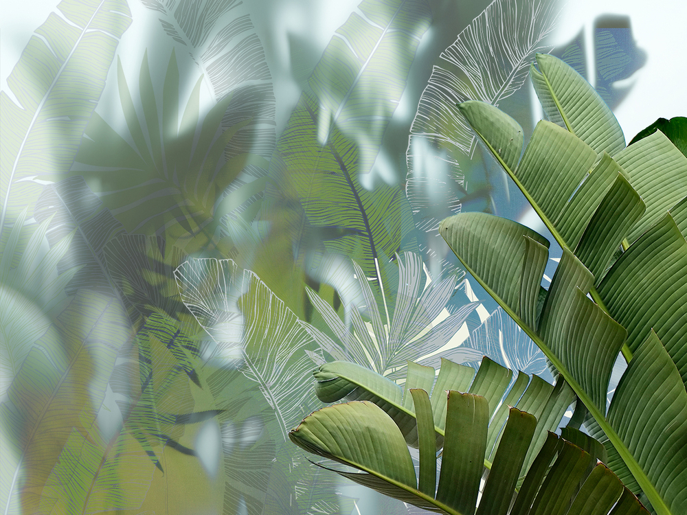 Коллекция GREENDAY 21