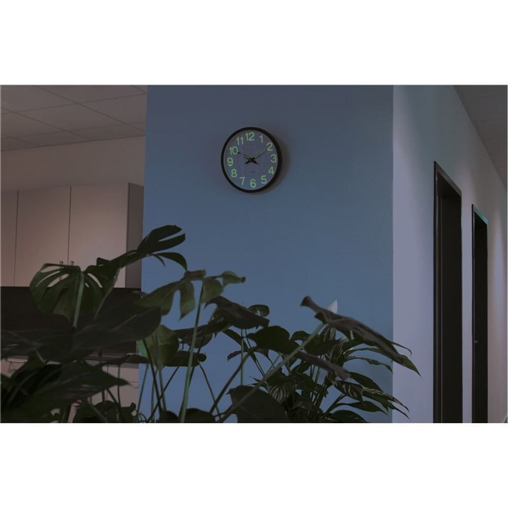 0401520s1