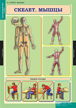 Комплект таблиц "Окружающий мир 3 кл."; 15 таблиц