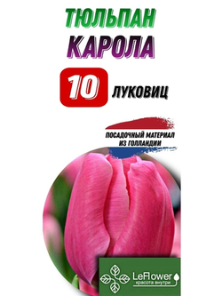 тюльпан карола10луковиц