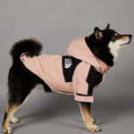 Дождевик для собак The Dog Fans