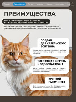 Корм сухой для взрослых кошек породы Карельский бобтейл, с лососем, 5 кг, QUATTRO