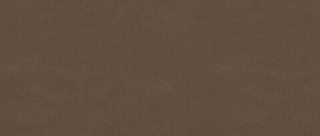 Искусственная кожа Nevada (Невада) 23