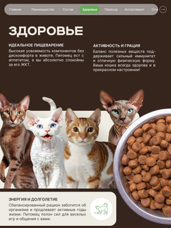 Корм сухой для кошек породы Сиамская кошка, с ягненком, 400 гр, QUATTRO
