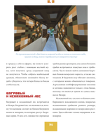 Майнкрафт от А до Я. Неофициальная иллюстрированная энциклопедия