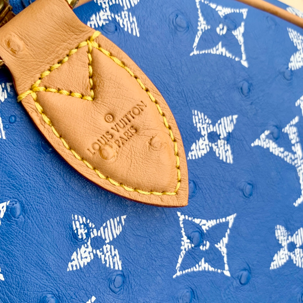 Louis Vuitton Speedy P9 Bandouliere 30