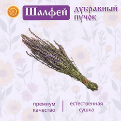 Шалфей дубравный пучок.