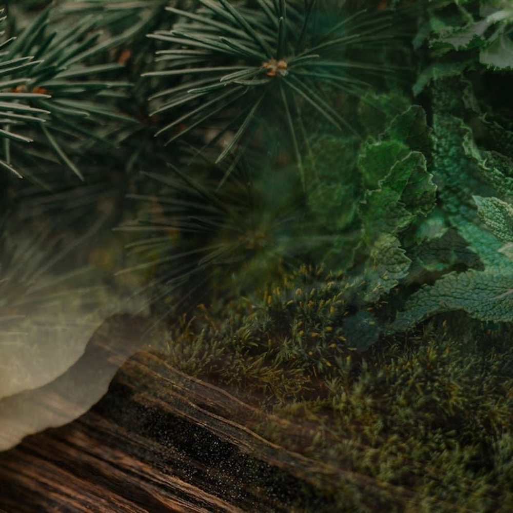 Dr. Vranjes Terra спрей ароматизатор воздуха (аромат Земля)