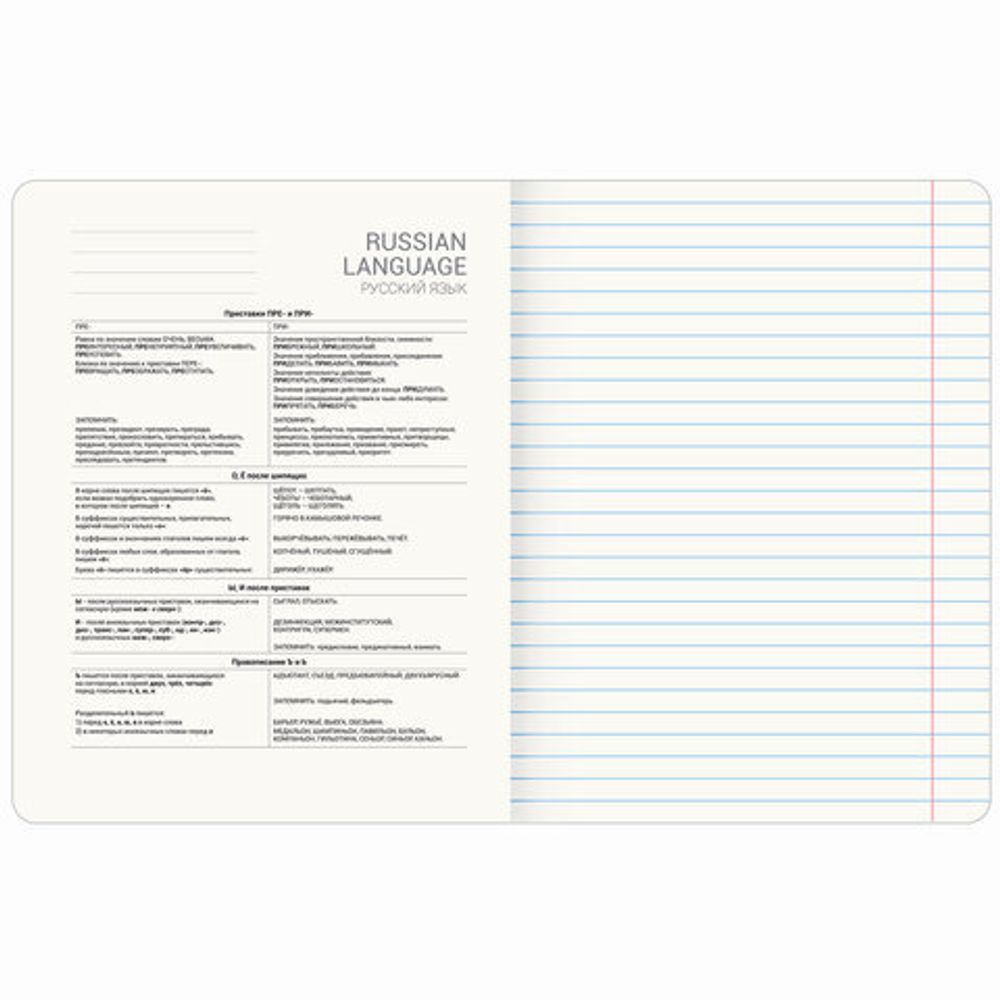 Тетрадь предметная VINTAGE 48 л., SoftTouch, РУССКИЙ ЯЗЫК, линия, подсказ, BRAUBERG, 405157