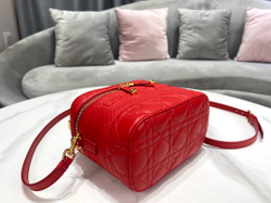 Christian Dior Small DiorTravel Vanity Case