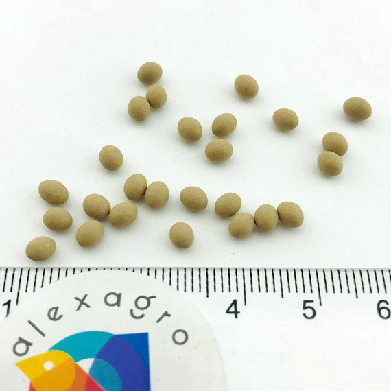 ЭНТОНИ семена салата Rijk Zwaan семена – фото 13