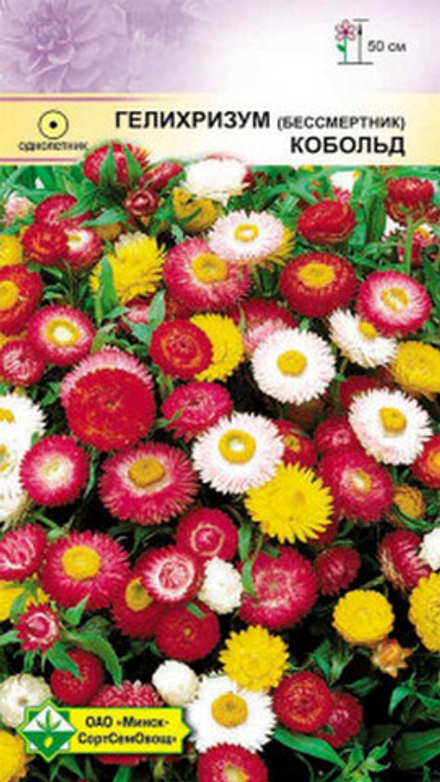 Гелихризум "Кобольд" 0.3г., Германия.
